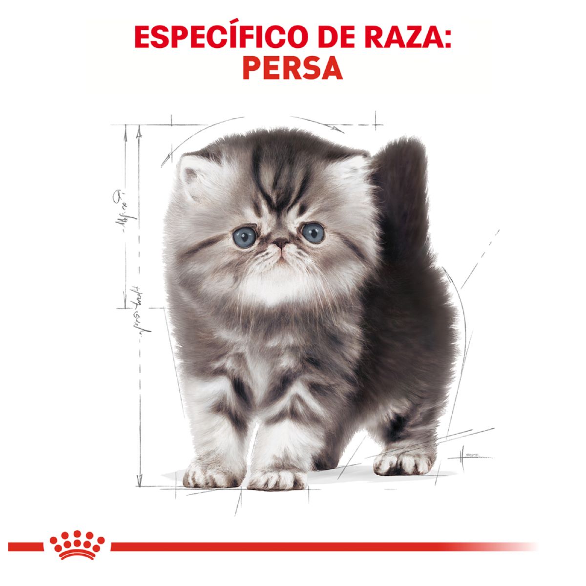 Royal Canin Persian Kitten 1.37 Kg - Alimento Para Gato Persa Royal Canin Persian Kitten 1.37 Kg - Alimento Para Gato Persa